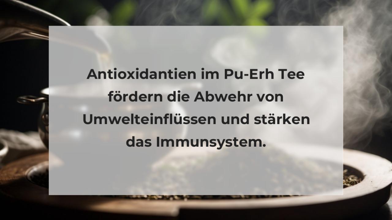 Antioxidantien im Pu-Erh Tee fördern die Abwehr von Umwelteinflüssen und stärken das Immunsystem.