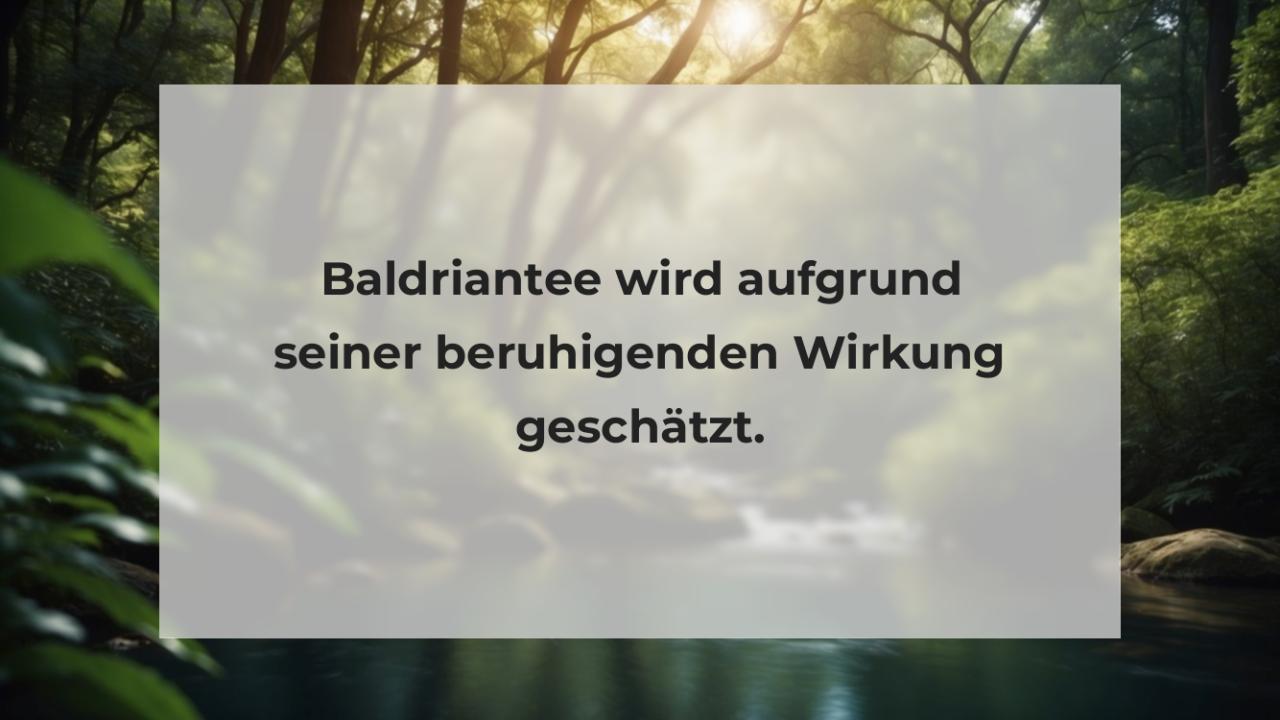 Baldriantee wird aufgrund seiner beruhigenden Wirkung geschätzt.