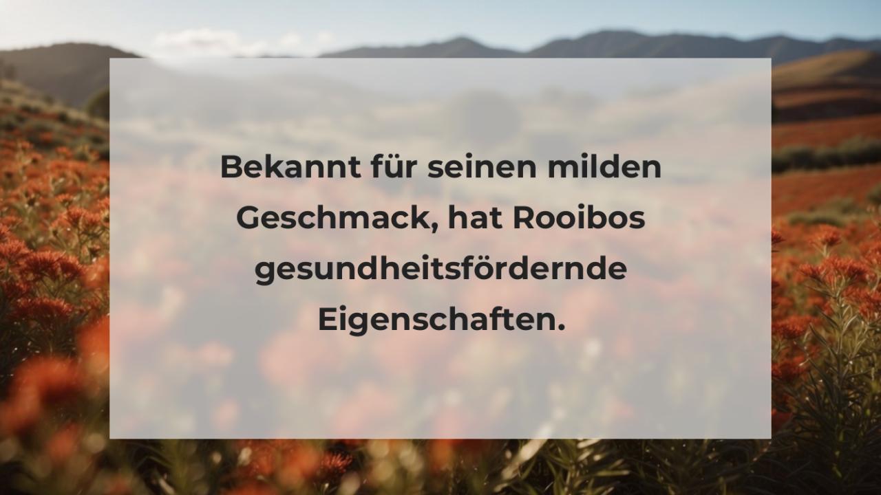 Bekannt für seinen milden Geschmack, hat Rooibos gesundheitsfördernde Eigenschaften.