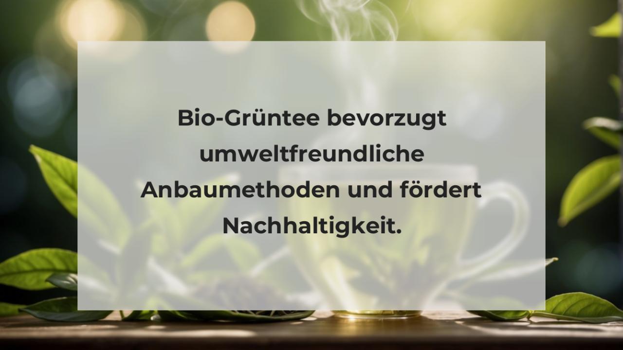 Bio-Grüntee bevorzugt umweltfreundliche Anbaumethoden und fördert Nachhaltigkeit.