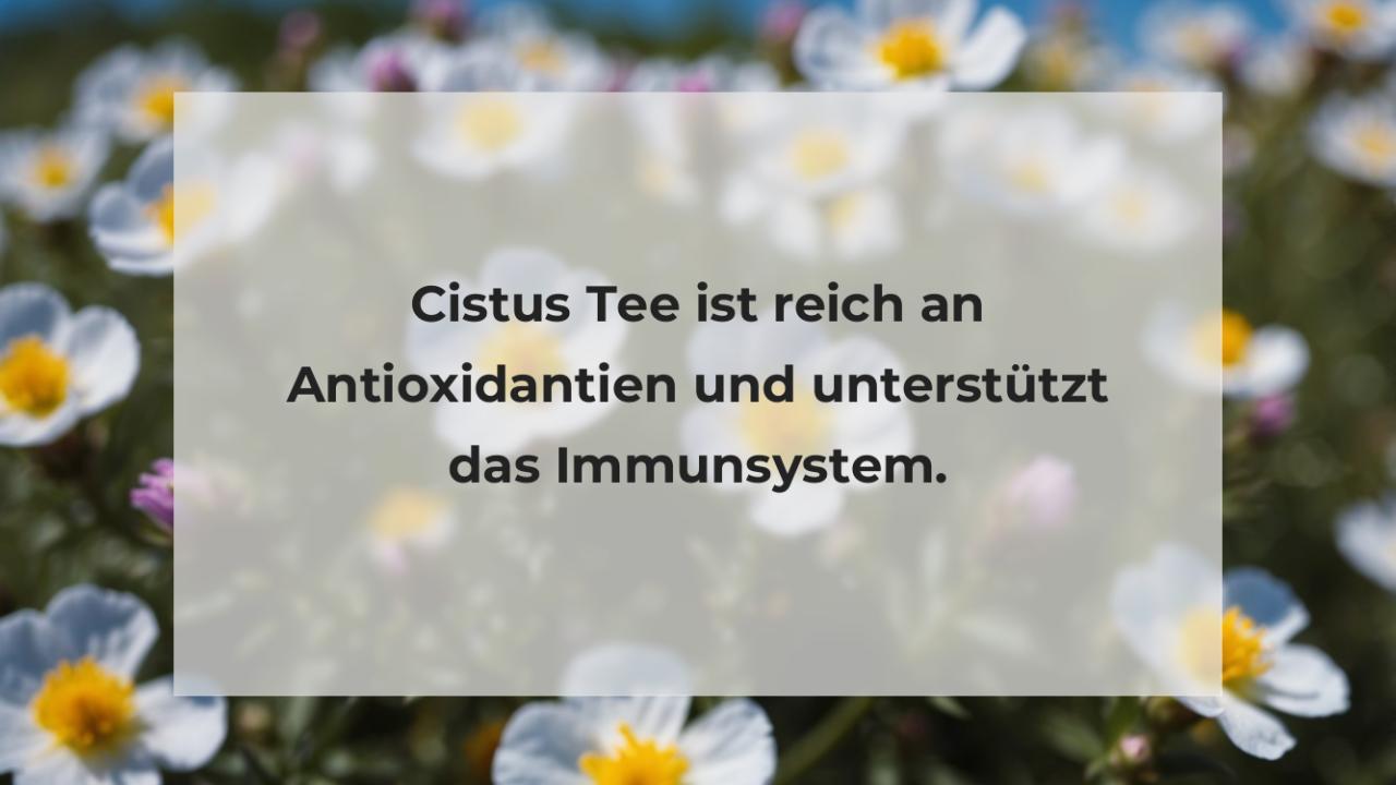 Cistus Tee ist reich an Antioxidantien und unterstützt das Immunsystem.