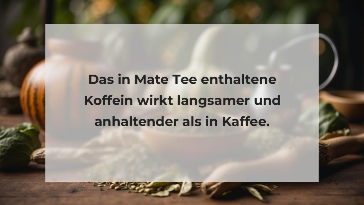 Das in Mate Tee enthaltene Koffein wirkt langsamer und anhaltender als in Kaffee.