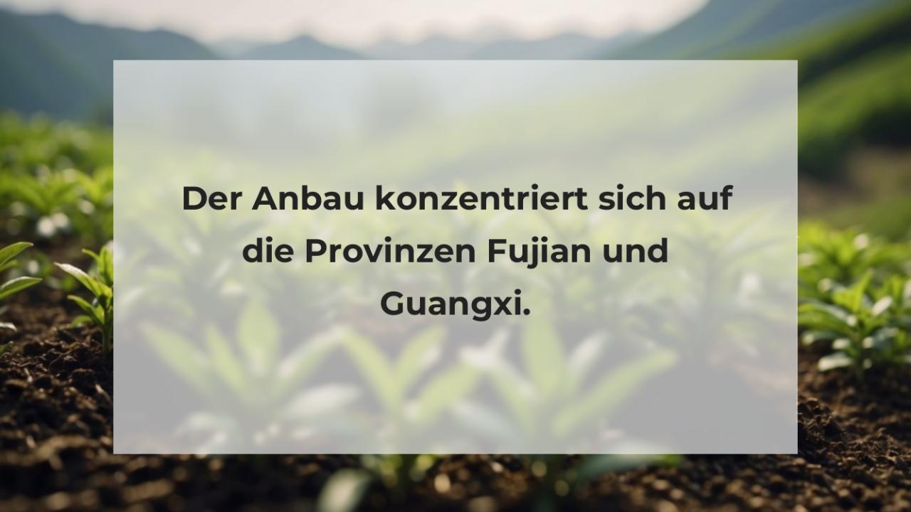 Der Anbau konzentriert sich auf die Provinzen Fujian und Guangxi.