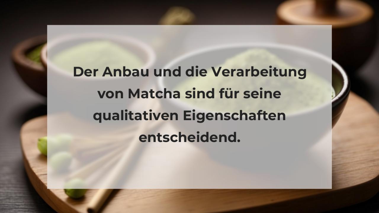 Der Anbau und die Verarbeitung von Matcha sind für seine qualitativen Eigenschaften entscheidend.