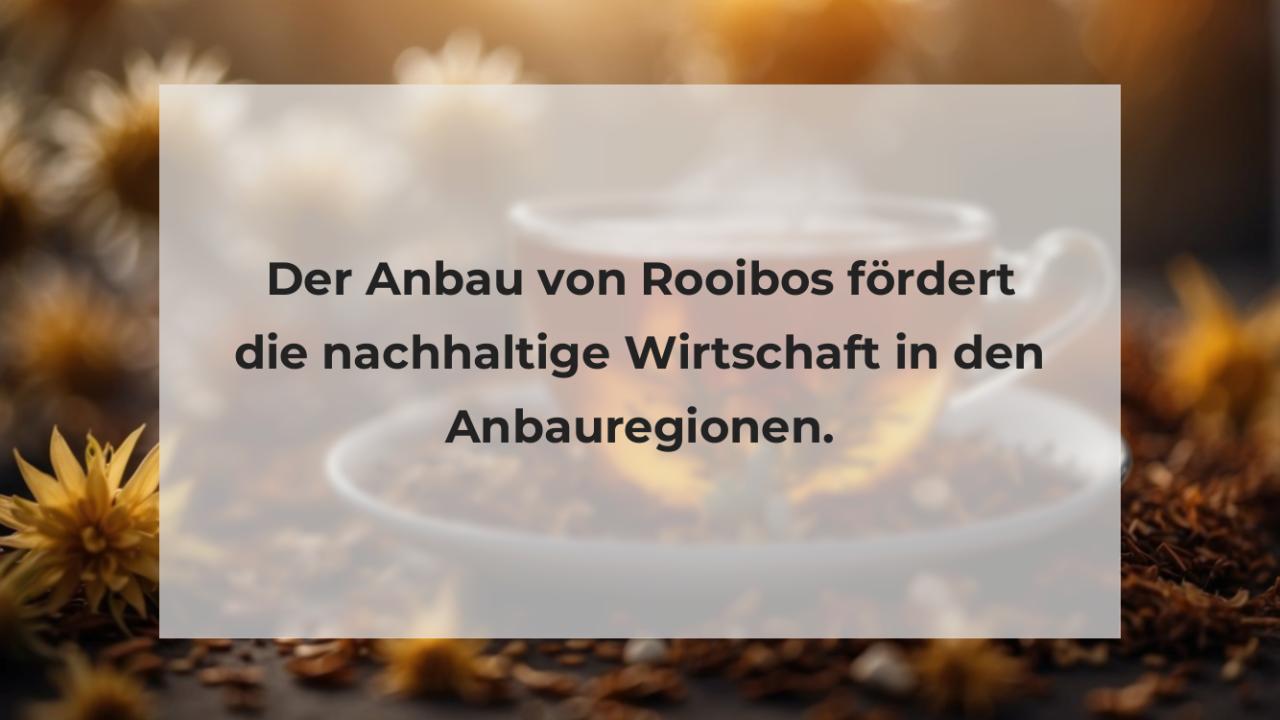 Der Anbau von Rooibos fördert die nachhaltige Wirtschaft in den Anbauregionen.