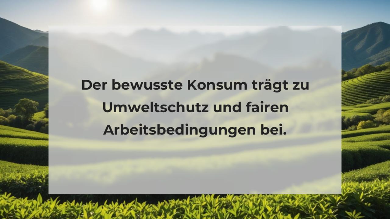 Der bewusste Konsum trägt zu Umweltschutz und fairen Arbeitsbedingungen bei.