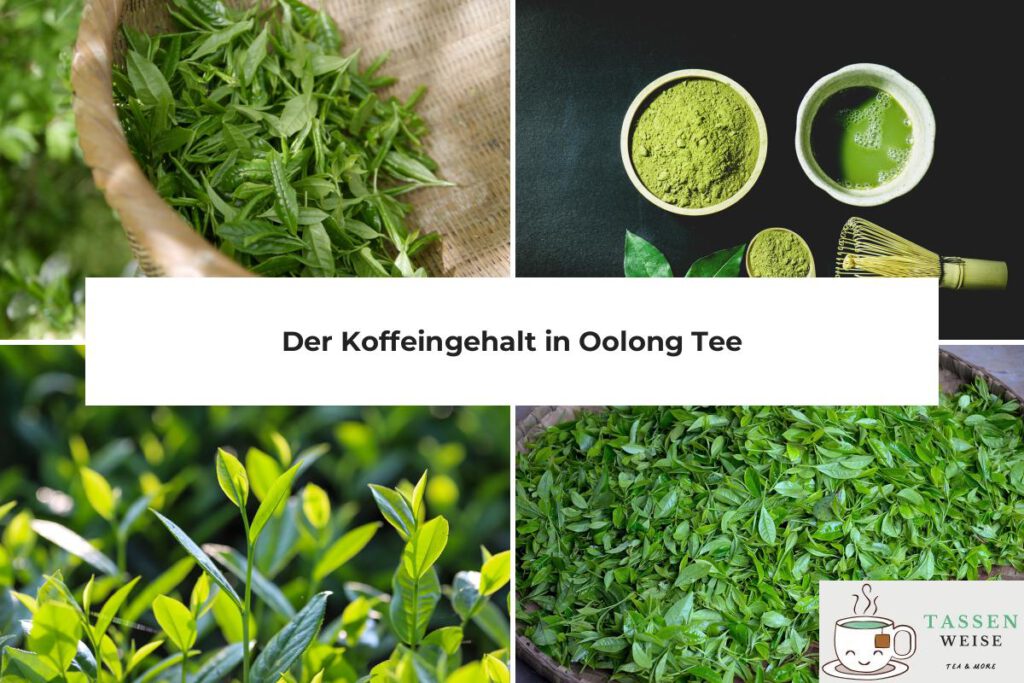 Oolong Tee Koffein