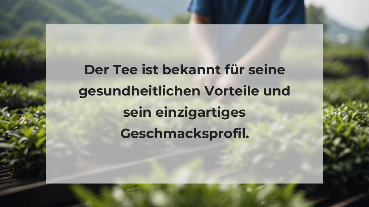 Der Tee ist bekannt für seine gesundheitlichen Vorteile und sein einzigartiges Geschmacksprofil.