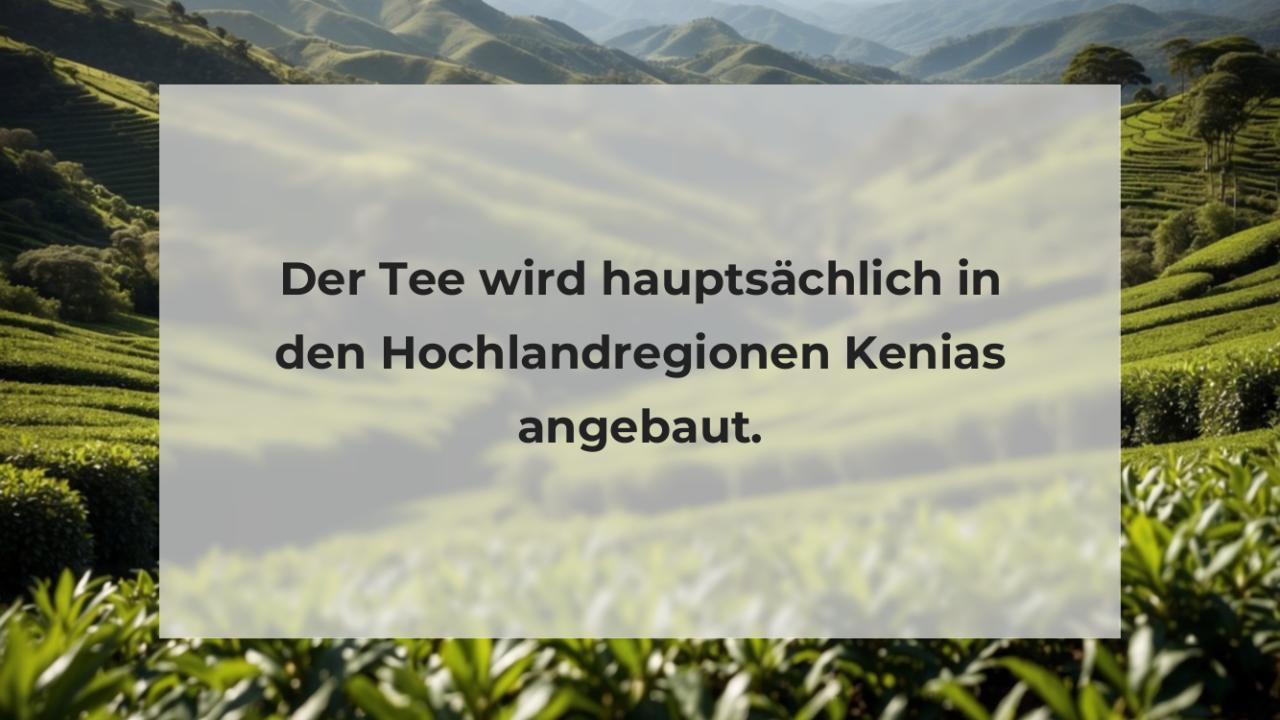 Der Tee wird hauptsächlich in den Hochlandregionen Kenias angebaut.