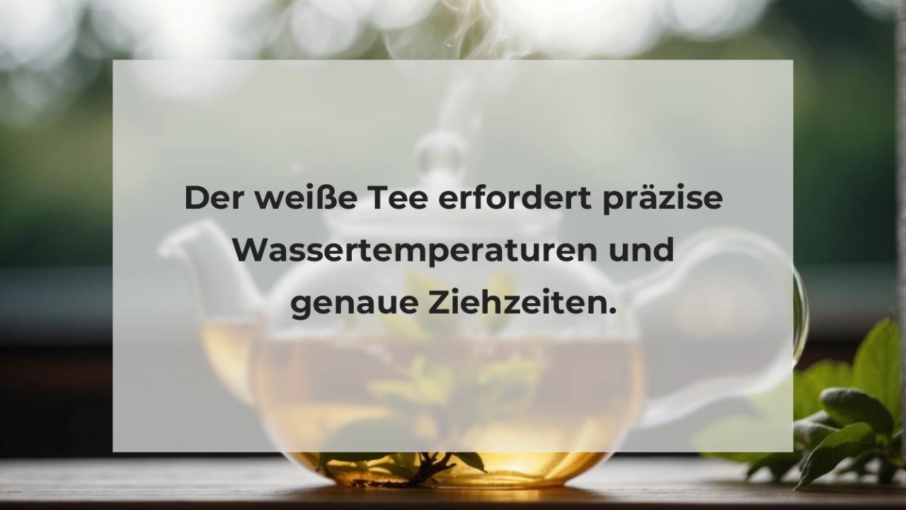 Der weiße Tee erfordert präzise Wassertemperaturen und genaue Ziehzeiten.