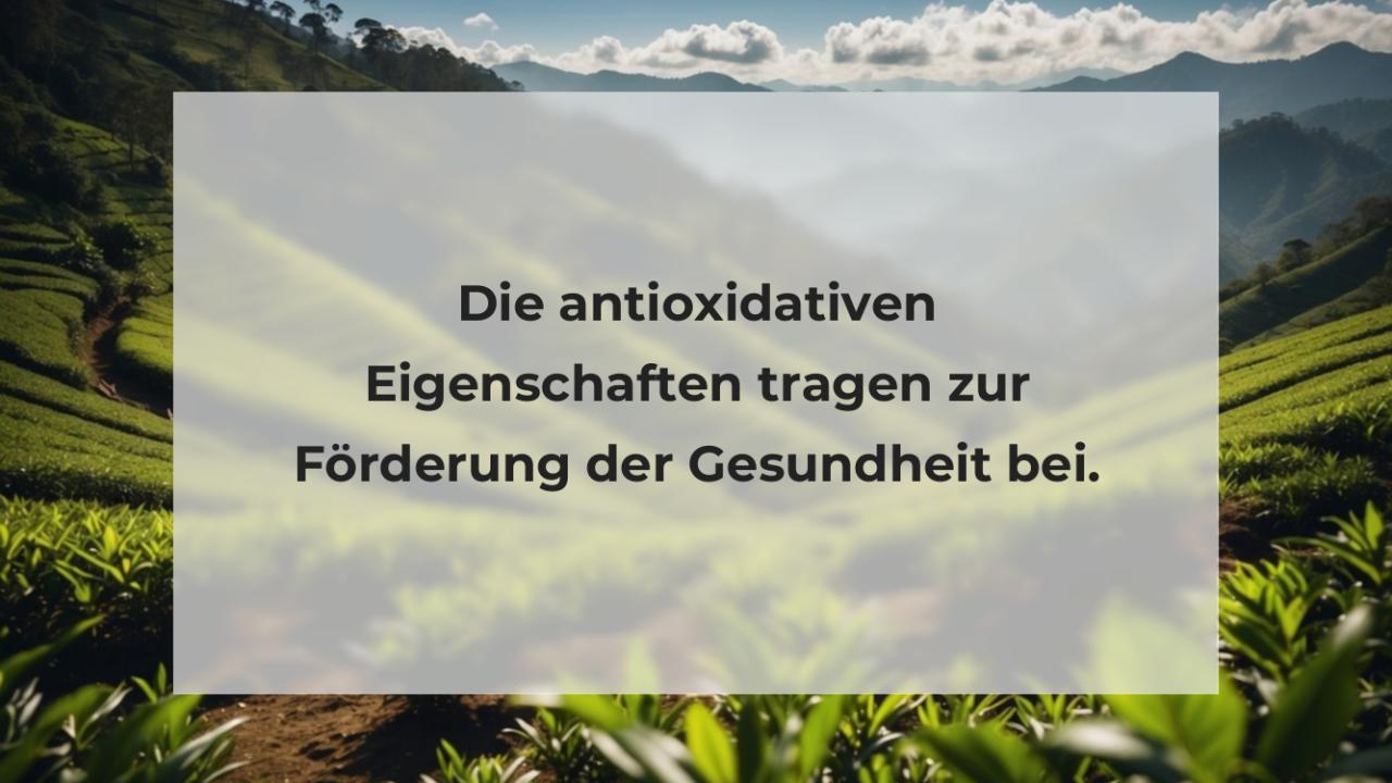 Die antioxidativen Eigenschaften tragen zur Förderung der Gesundheit bei.