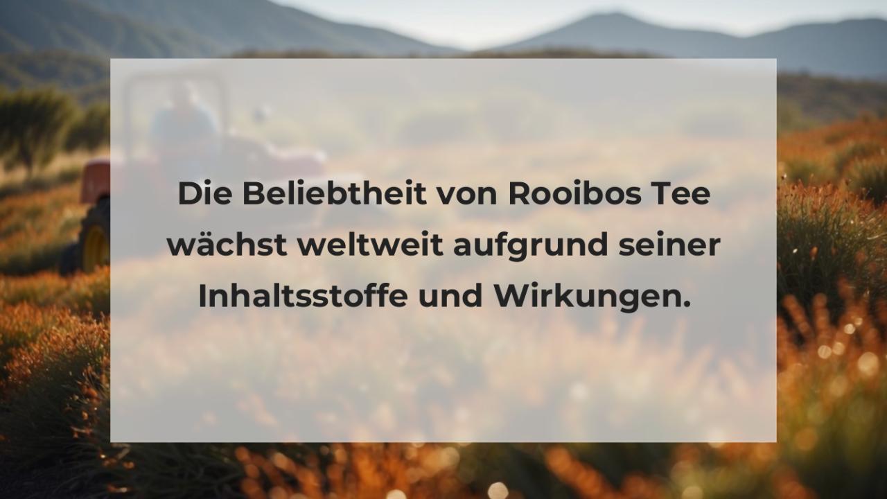 Die Beliebtheit von Rooibos Tee wächst weltweit aufgrund seiner Inhaltsstoffe und Wirkungen.