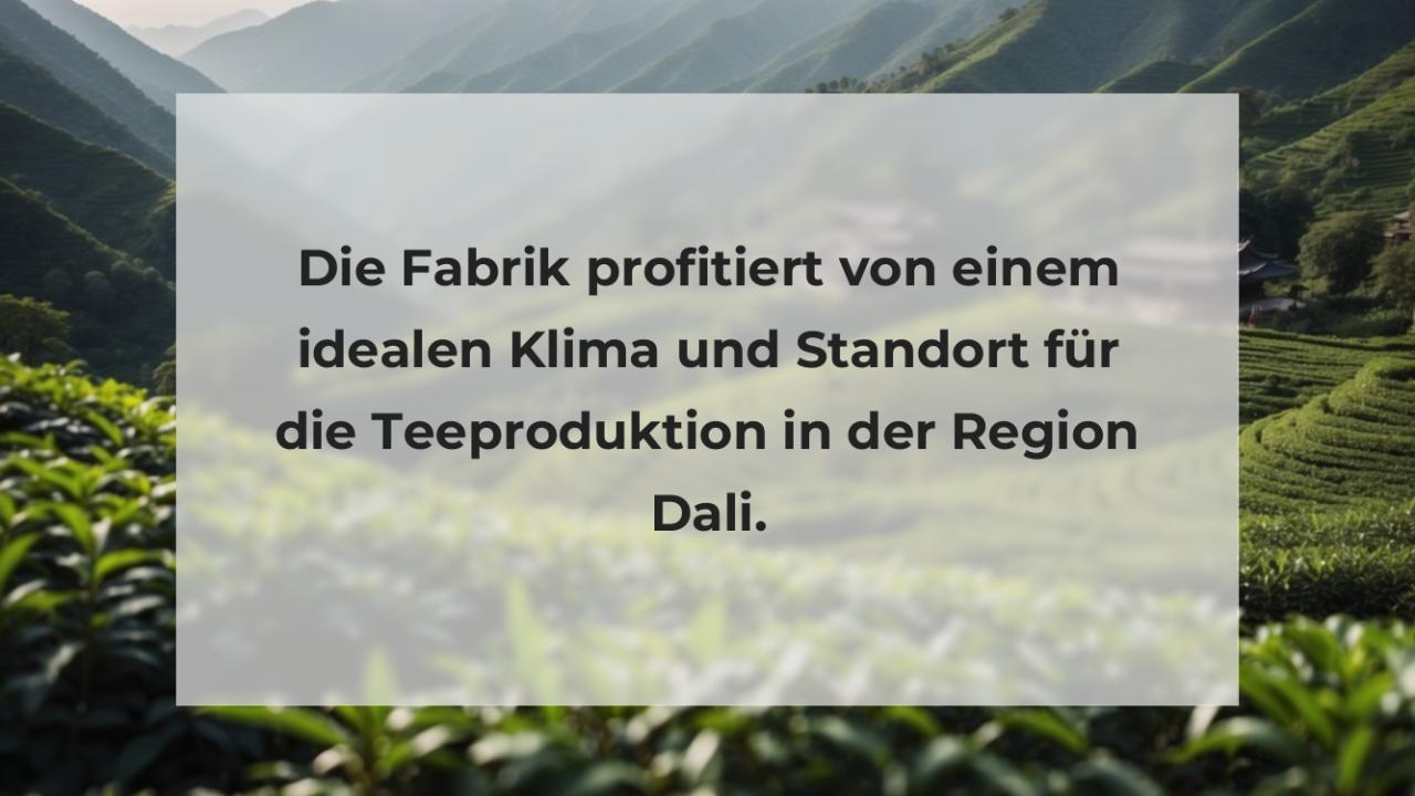 Die Fabrik profitiert von einem idealen Klima und Standort für die Teeproduktion in der Region Dali.