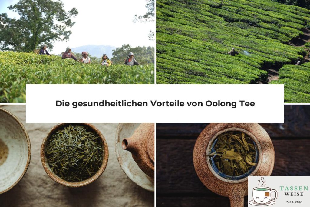 Oolong Tee für die Gesundheit