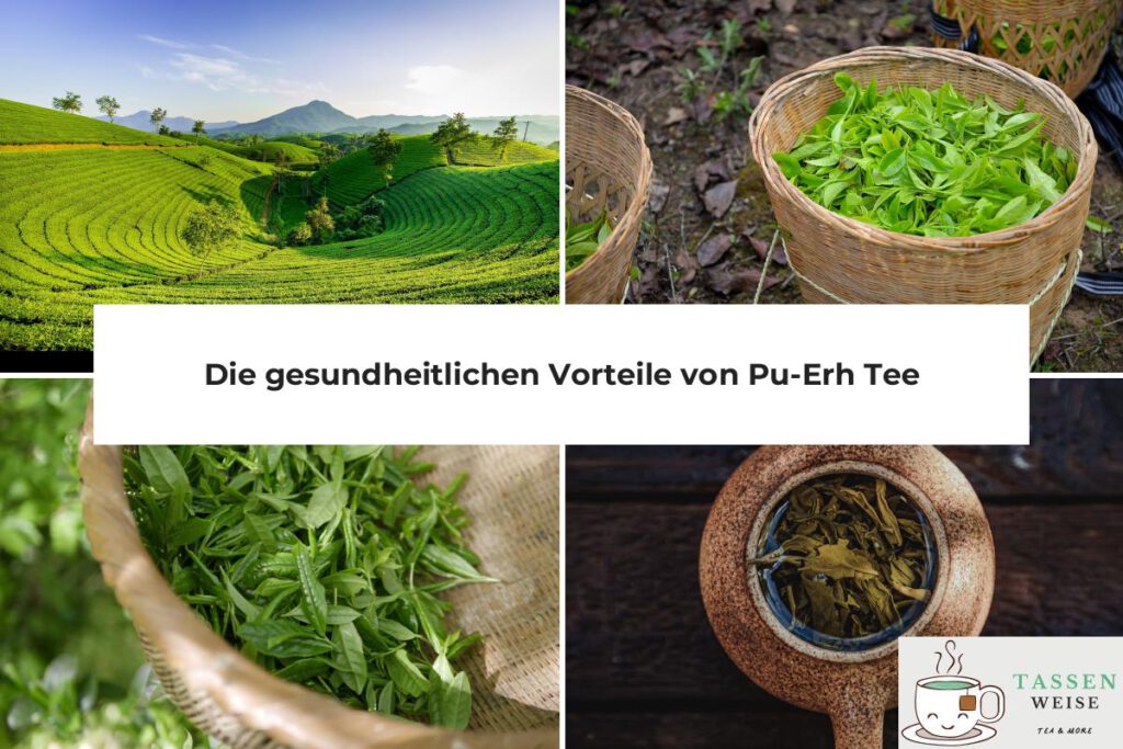 Pu-Erh Tee für die Gesundheit