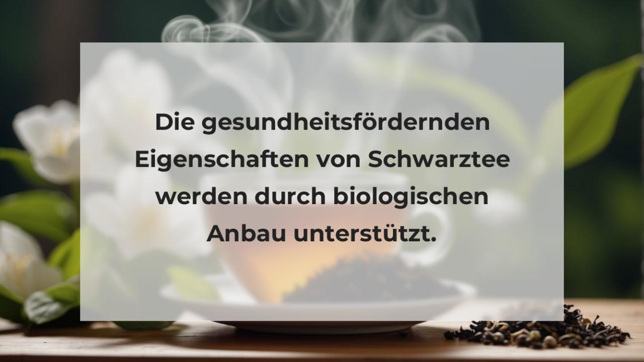 Die gesundheitsfördernden Eigenschaften von Schwarztee werden durch biologischen Anbau unterstützt.