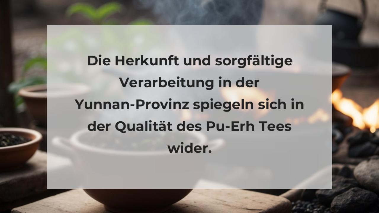 Die Herkunft und sorgfältige Verarbeitung in der Yunnan-Provinz spiegeln sich in der Qualität des Pu-Erh Tees wider.