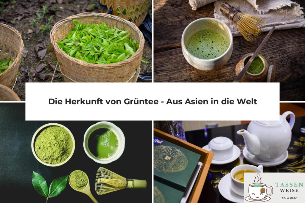 Grüner Tee Herkunft