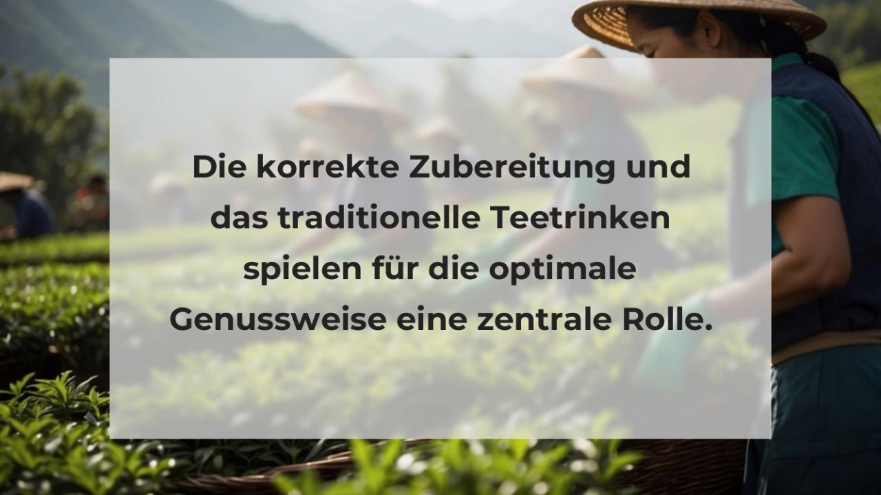 Die korrekte Zubereitung und das traditionelle Teetrinken spielen für die optimale Genussweise eine zentrale Rolle.