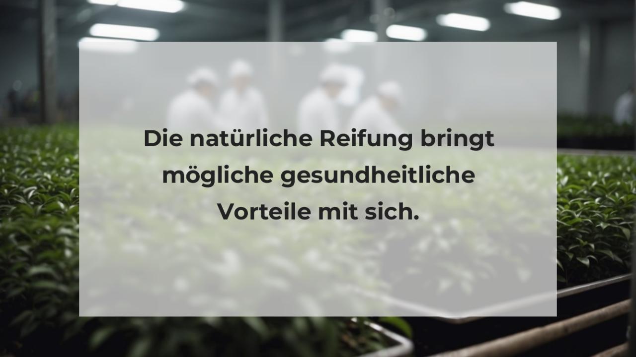 Die natürliche Reifung bringt mögliche gesundheitliche Vorteile mit sich.