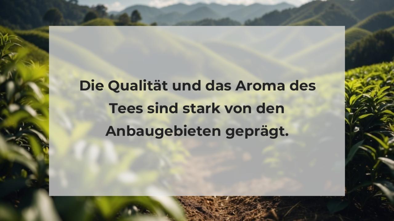 Die Qualität und das Aroma des Tees sind stark von den Anbaugebieten geprägt.