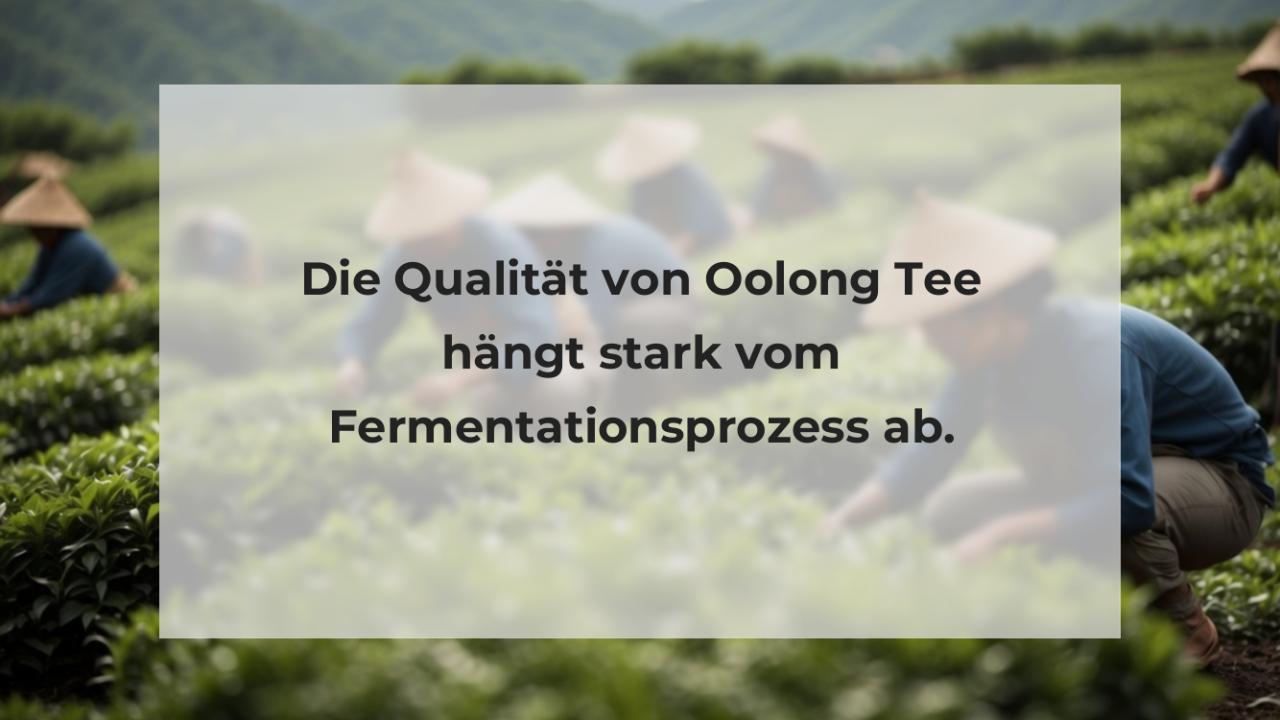 Die Qualität von Oolong Tee hängt stark vom Fermentationsprozess ab.