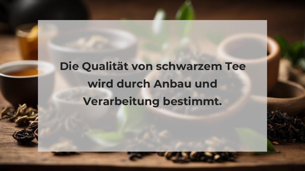 Die Qualität von schwarzem Tee wird durch Anbau und Verarbeitung bestimmt.