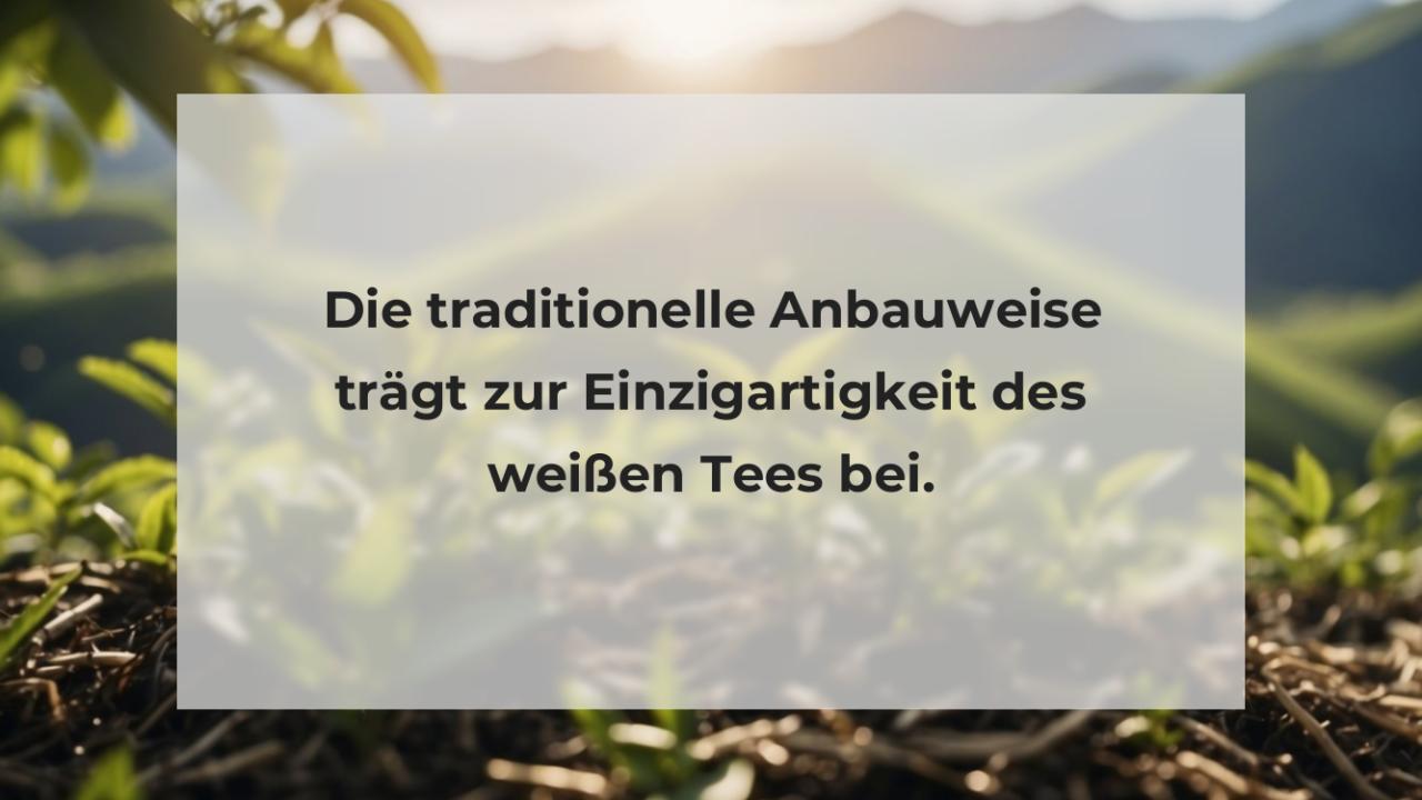 Die traditionelle Anbauweise trägt zur Einzigartigkeit des weißen Tees bei.