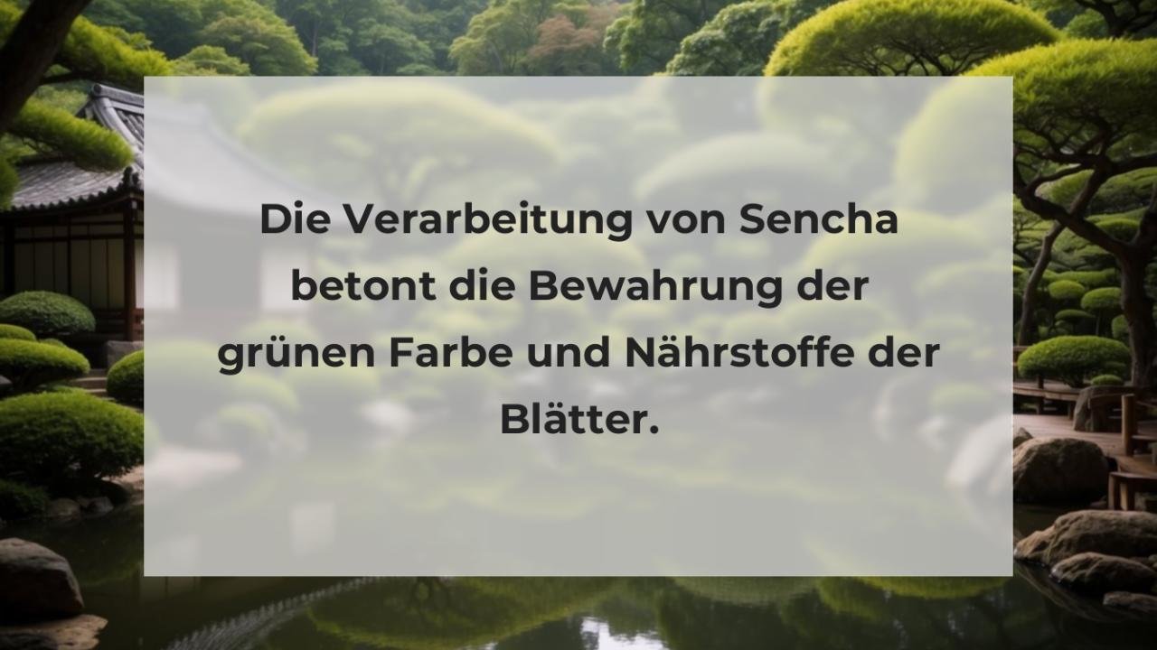 Die Verarbeitung von Sencha betont die Bewahrung der grünen Farbe und Nährstoffe der Blätter.