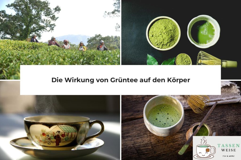 Grüner Tee Wirkung