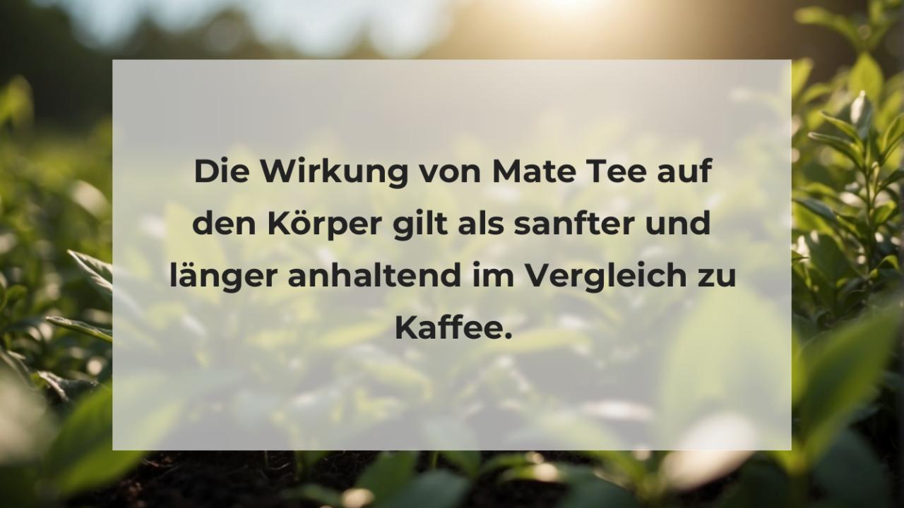 Die Wirkung von Mate Tee auf den Körper gilt als sanfter und länger anhaltend im Vergleich zu Kaffee.