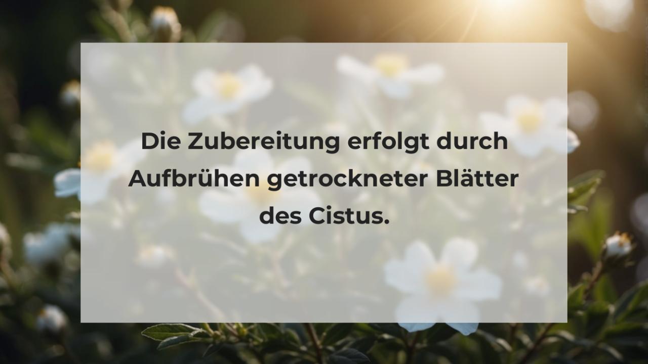 Die Zubereitung erfolgt durch Aufbrühen getrockneter Blätter des Cistus.