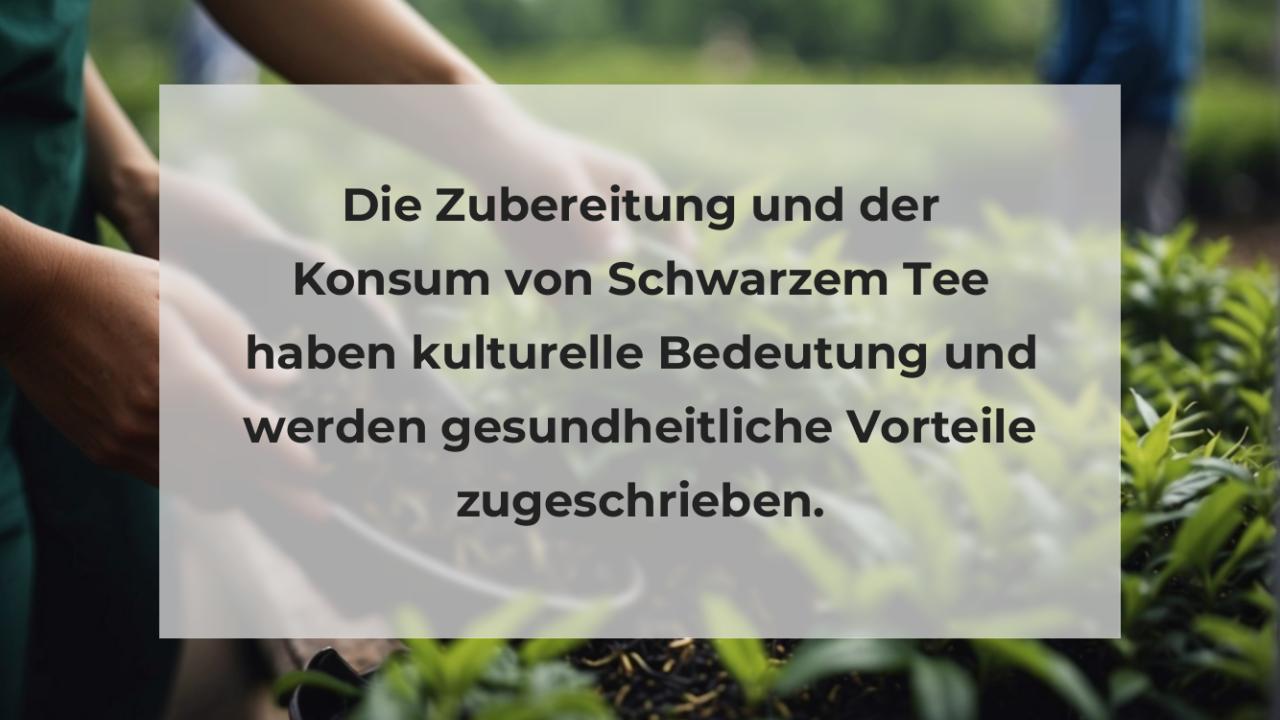 Die Zubereitung und der Konsum von Schwarzem Tee haben kulturelle Bedeutung und werden gesundheitliche Vorteile zugeschrieben.