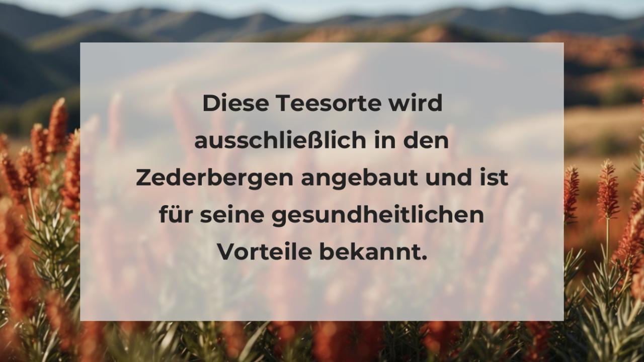 Diese Teesorte wird ausschließlich in den Zederbergen angebaut und ist für seine gesundheitlichen Vorteile bekannt.