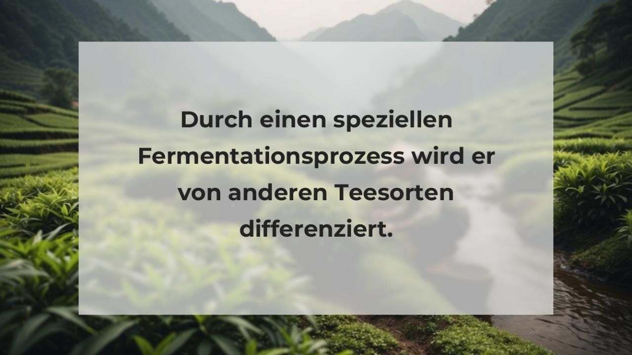 Durch einen speziellen Fermentationsprozess wird er von anderen Teesorten differenziert.