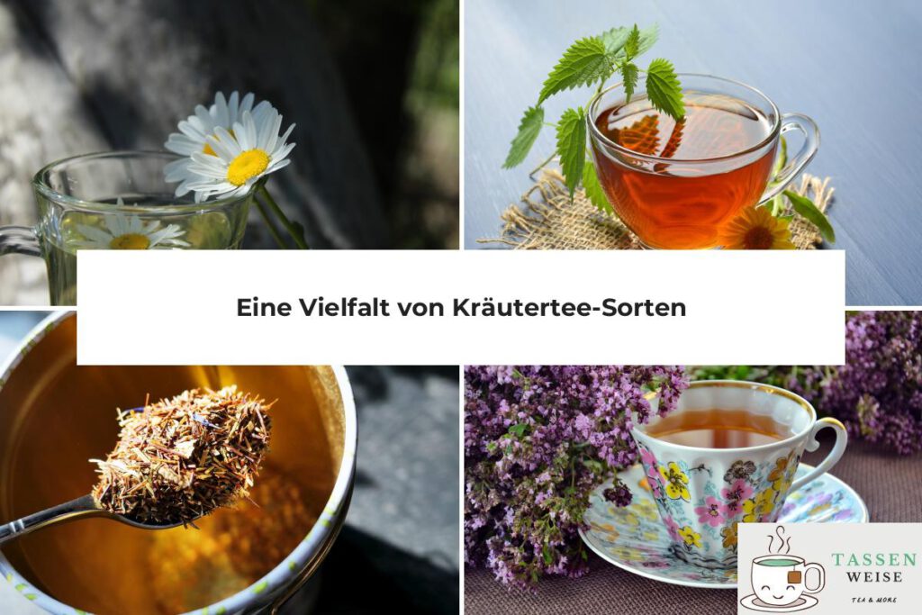 Kräutertee Sorten