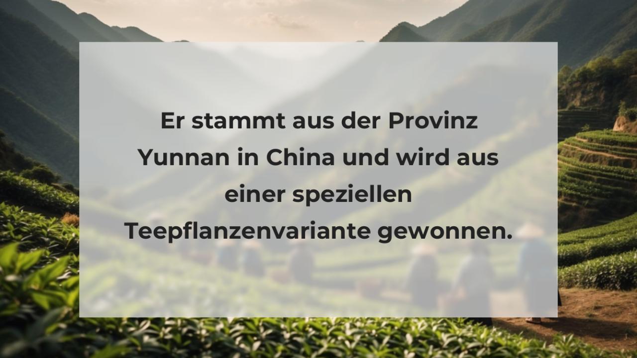 Er stammt aus der Provinz Yunnan in China und wird aus einer speziellen Teepflanzenvariante gewonnen.