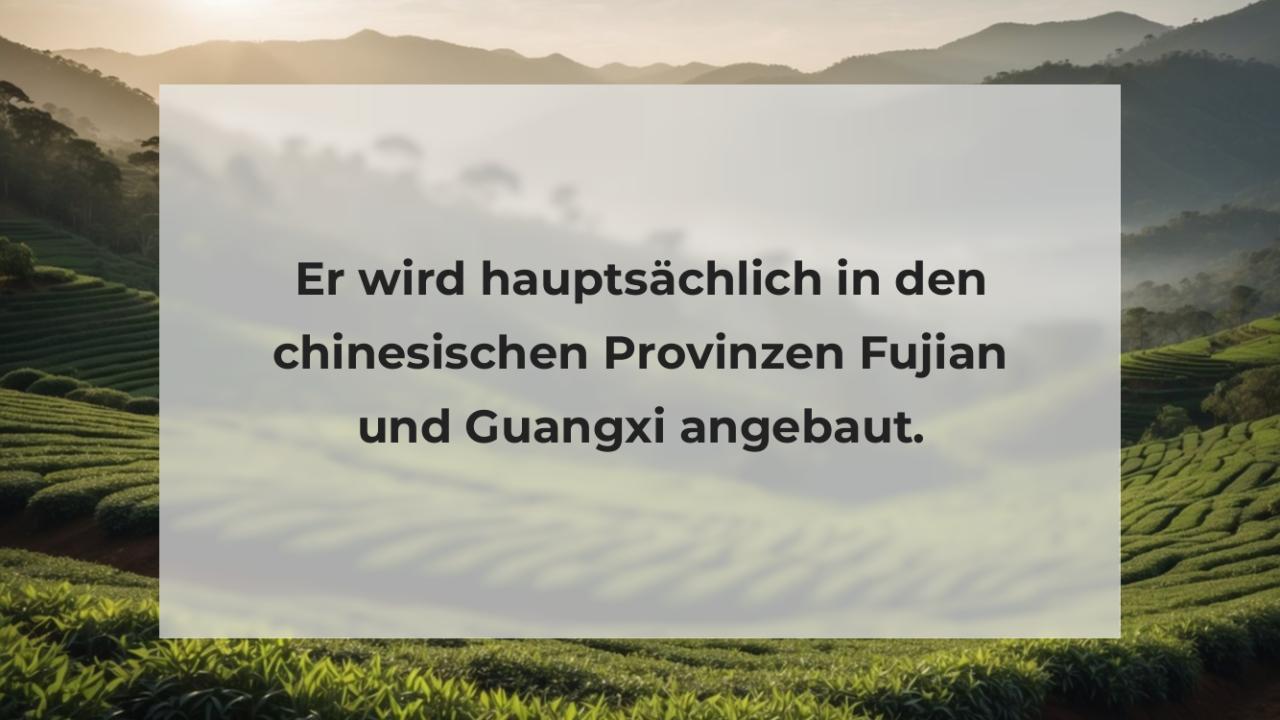 Er wird hauptsächlich in den chinesischen Provinzen Fujian und Guangxi angebaut.