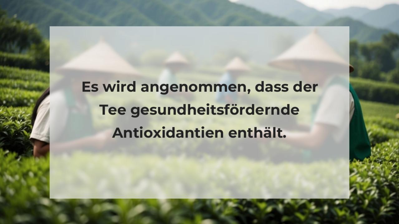 Es wird angenommen, dass der Tee gesundheitsfördernde Antioxidantien enthält.