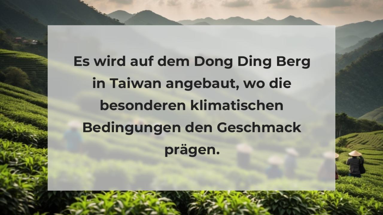 Es wird auf dem Dong Ding Berg in Taiwan angebaut, wo die besonderen klimatischen Bedingungen den Geschmack prägen.