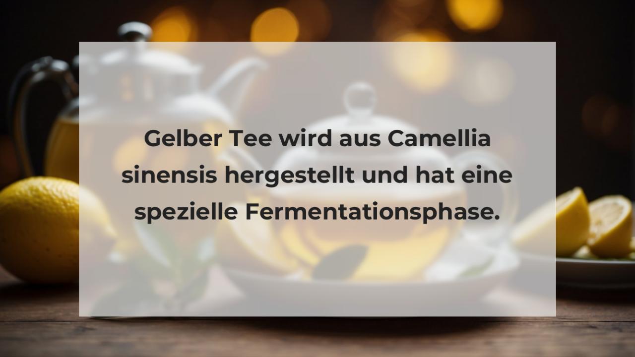 Gelber Tee wird aus Camellia sinensis hergestellt und hat eine spezielle Fermentationsphase.