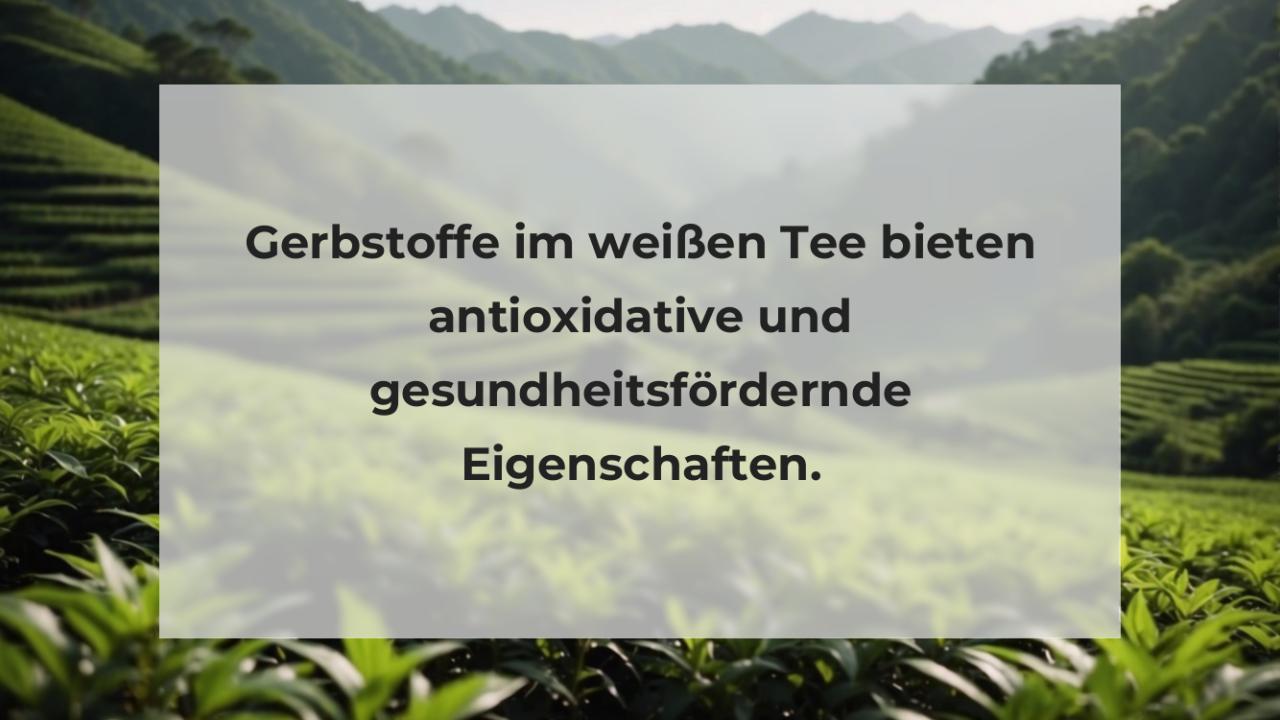 Gerbstoffe im weißen Tee bieten antioxidative und gesundheitsfördernde Eigenschaften.