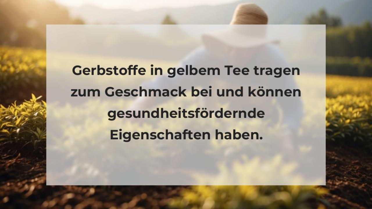 Gerbstoffe in gelbem Tee tragen zum Geschmack bei und können gesundheitsfördernde Eigenschaften haben.