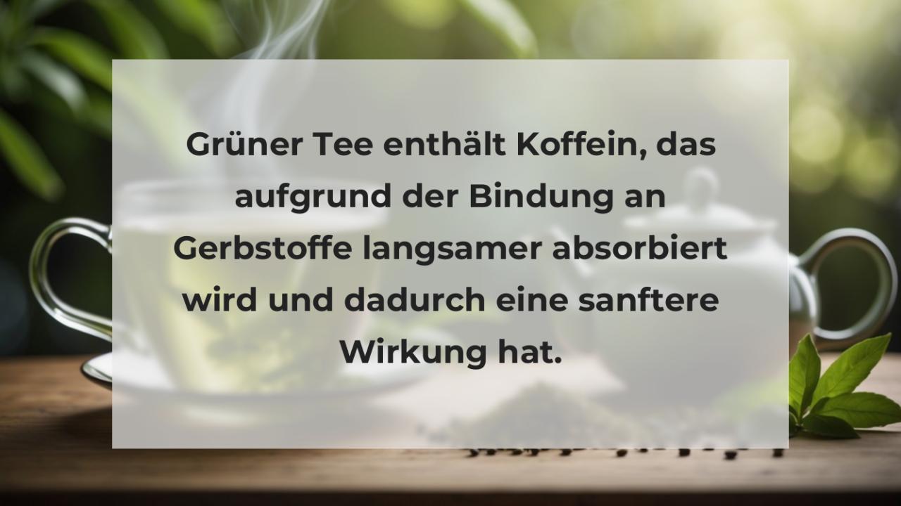 Grüner Tee enthält Koffein, das aufgrund der Bindung an Gerbstoffe langsamer absorbiert wird und dadurch eine sanftere Wirkung hat.