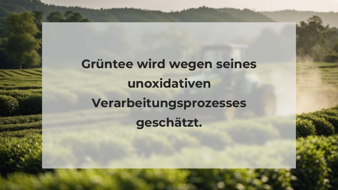 Grüntee wird wegen seines unoxidativen Verarbeitungsprozesses geschätzt.