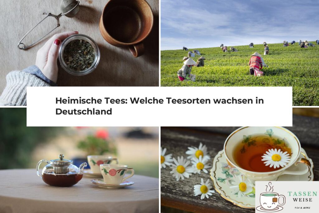 Heimische Tees