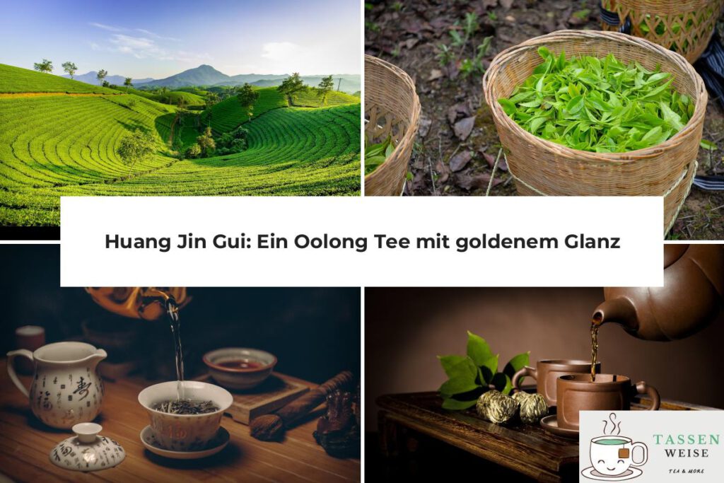 Huang Jin Gui Oolong