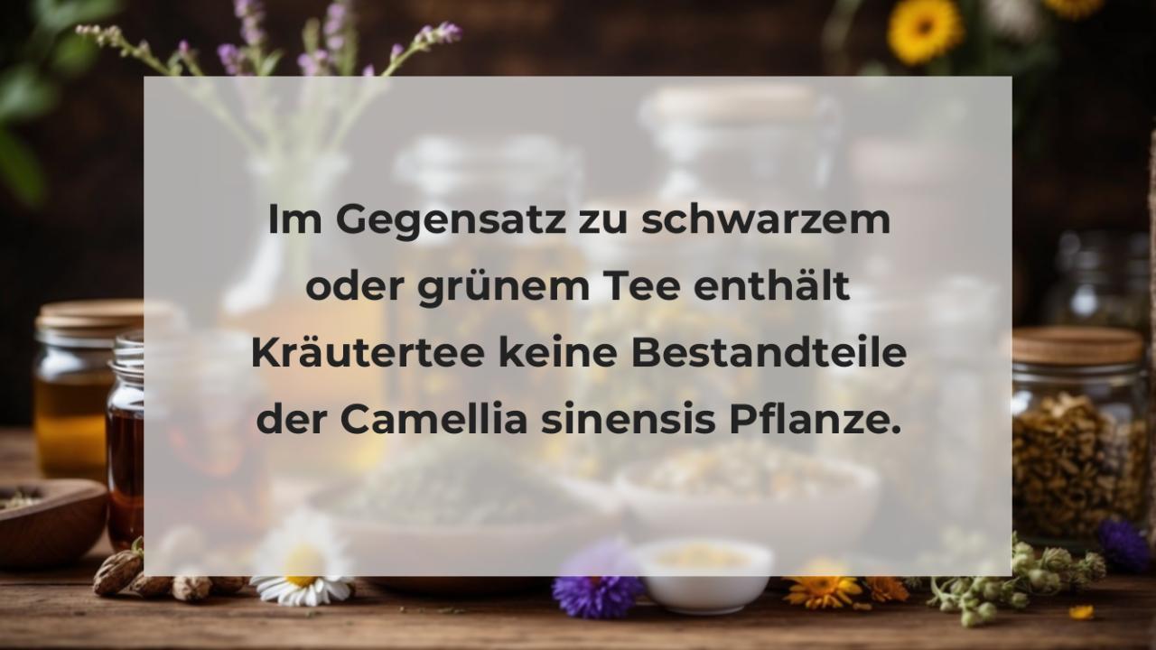 Im Gegensatz zu schwarzem oder grünem Tee enthält Kräutertee keine Bestandteile der Camellia sinensis Pflanze.