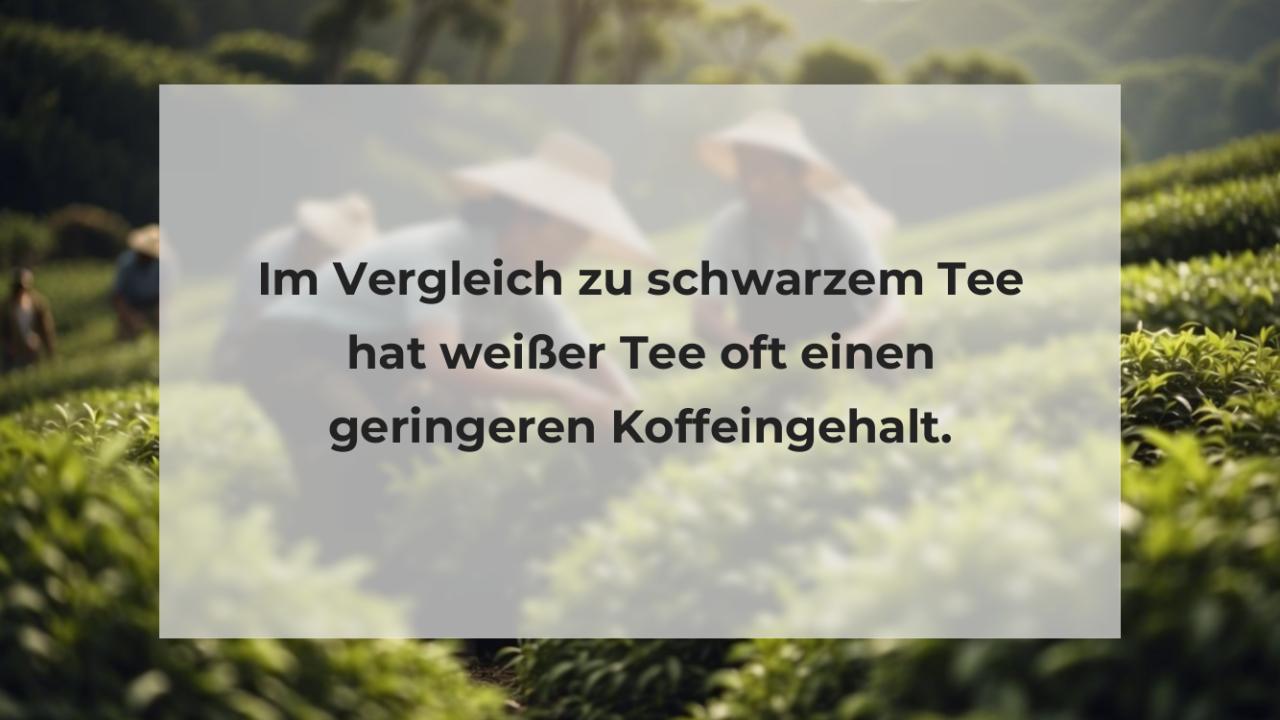 Im Vergleich zu schwarzem Tee hat weißer Tee oft einen geringeren Koffeingehalt.