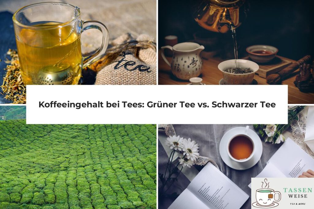 Koffeeingehalt bei Tees